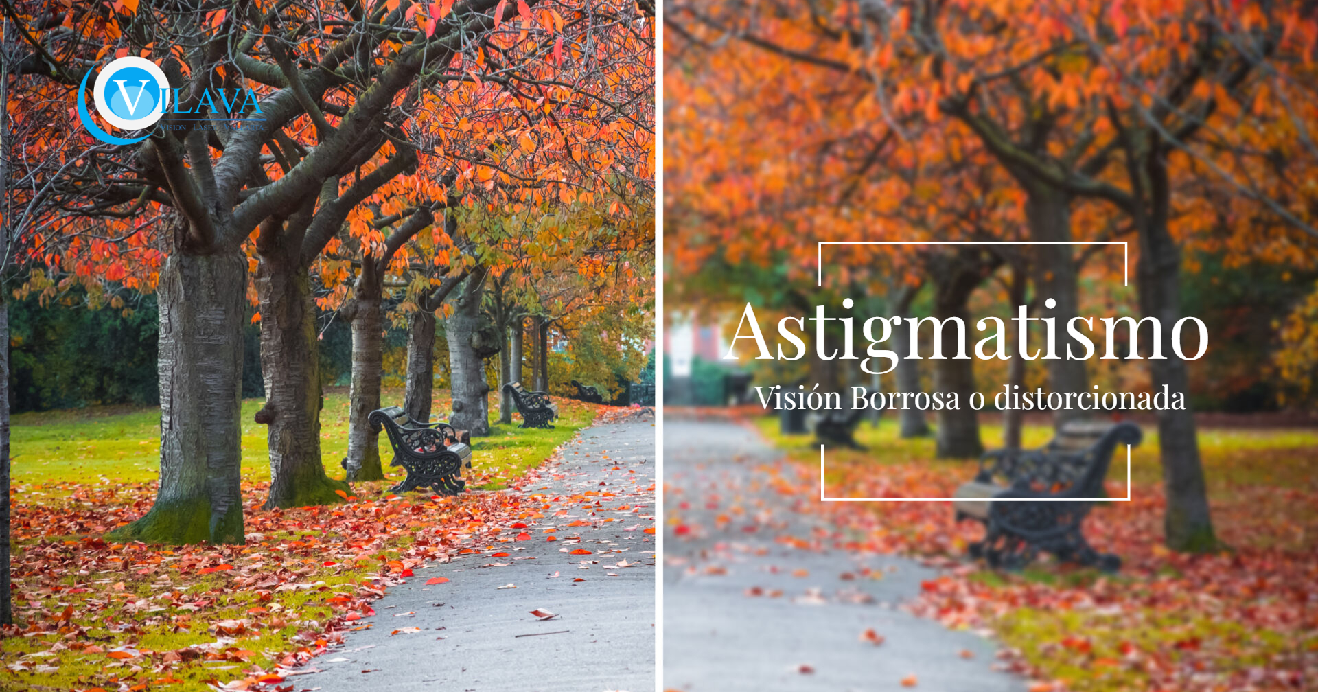 Untitled Design (13)